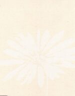 سوئدی - تصویر 17